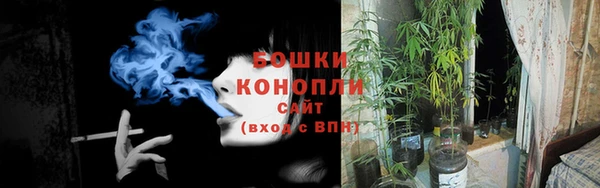бутират Няндома