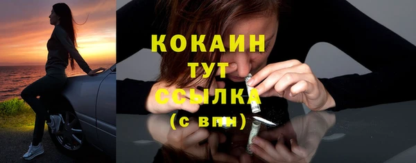 метадон Новодвинск