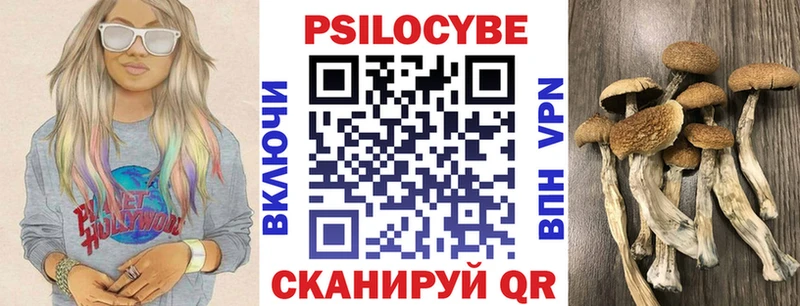 наркошоп hydra ССЫЛКА Псилоцибиновые грибы мицелий Киселёвск