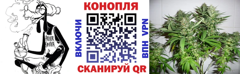 Каннабис план  Киселёвск 